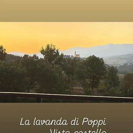 Campismo de Luxo Glamping La Lavanda *