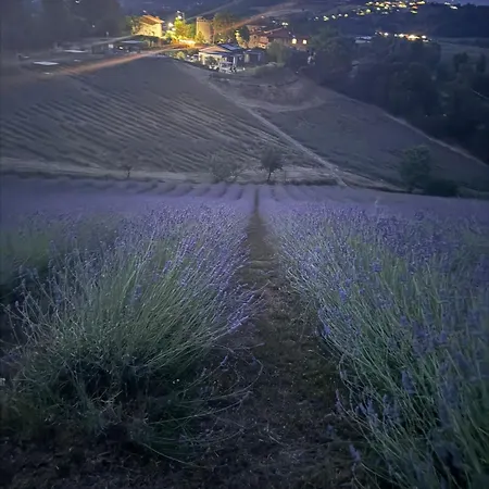 Glamping La Lavanda