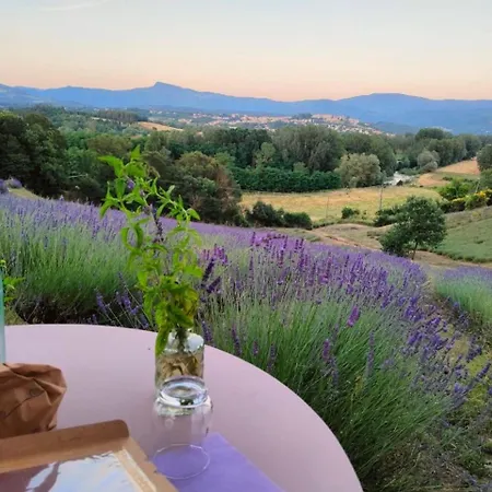 Glamping La Lavanda Poppi