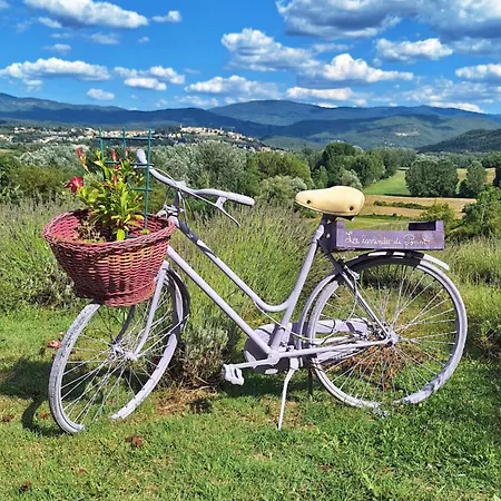 Glamping La Lavanda Luxussátor *