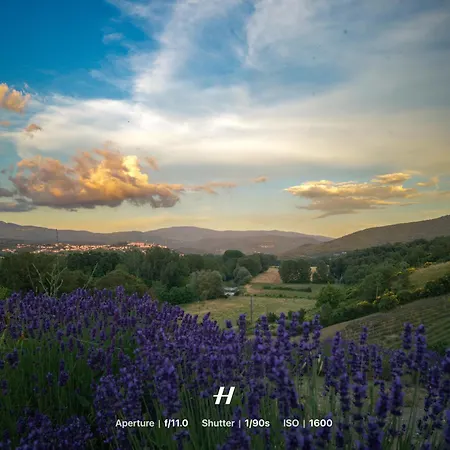 Luxe tent Glamping La Lavanda