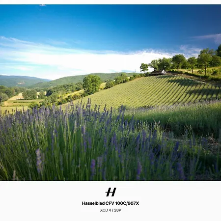 Glamping La Lavanda Luxe tent