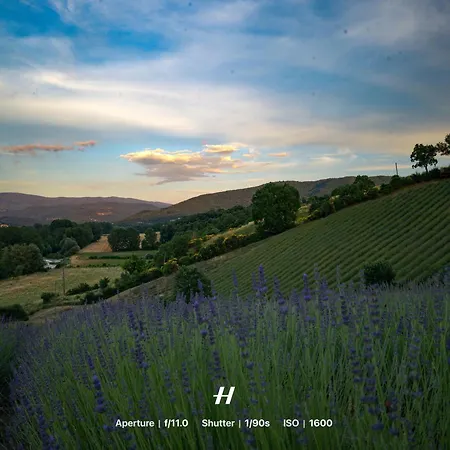Glamping La Lavanda *