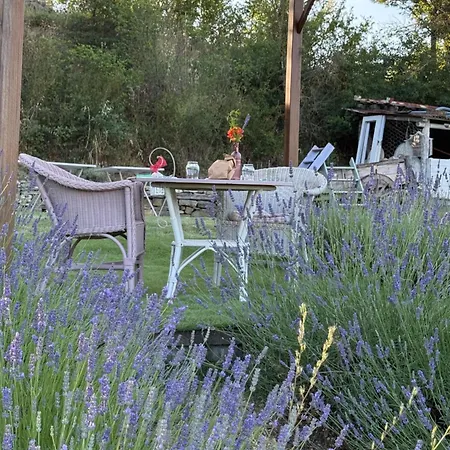 Glamping La Lavanda *