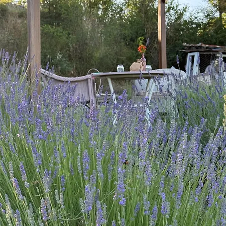 Luxussátor Glamping La Lavanda